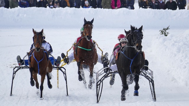 查洛巴沒入選 擊敗名單也擋不住球迷熱情支持.